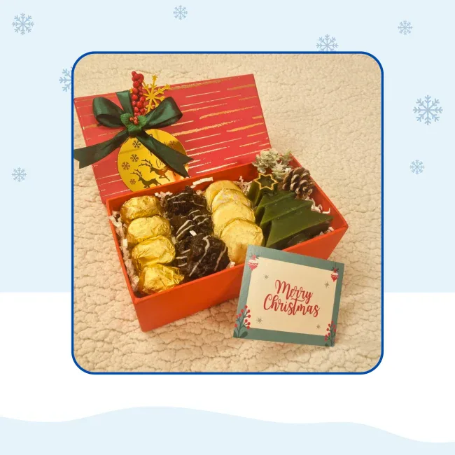 christmas-mushmerey-chocolate-8